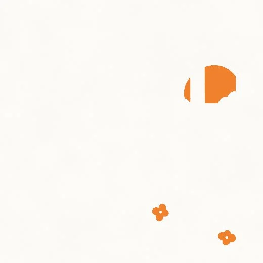 The sun screen alone: the low sun and a few berries in orange, almost all bare paper.