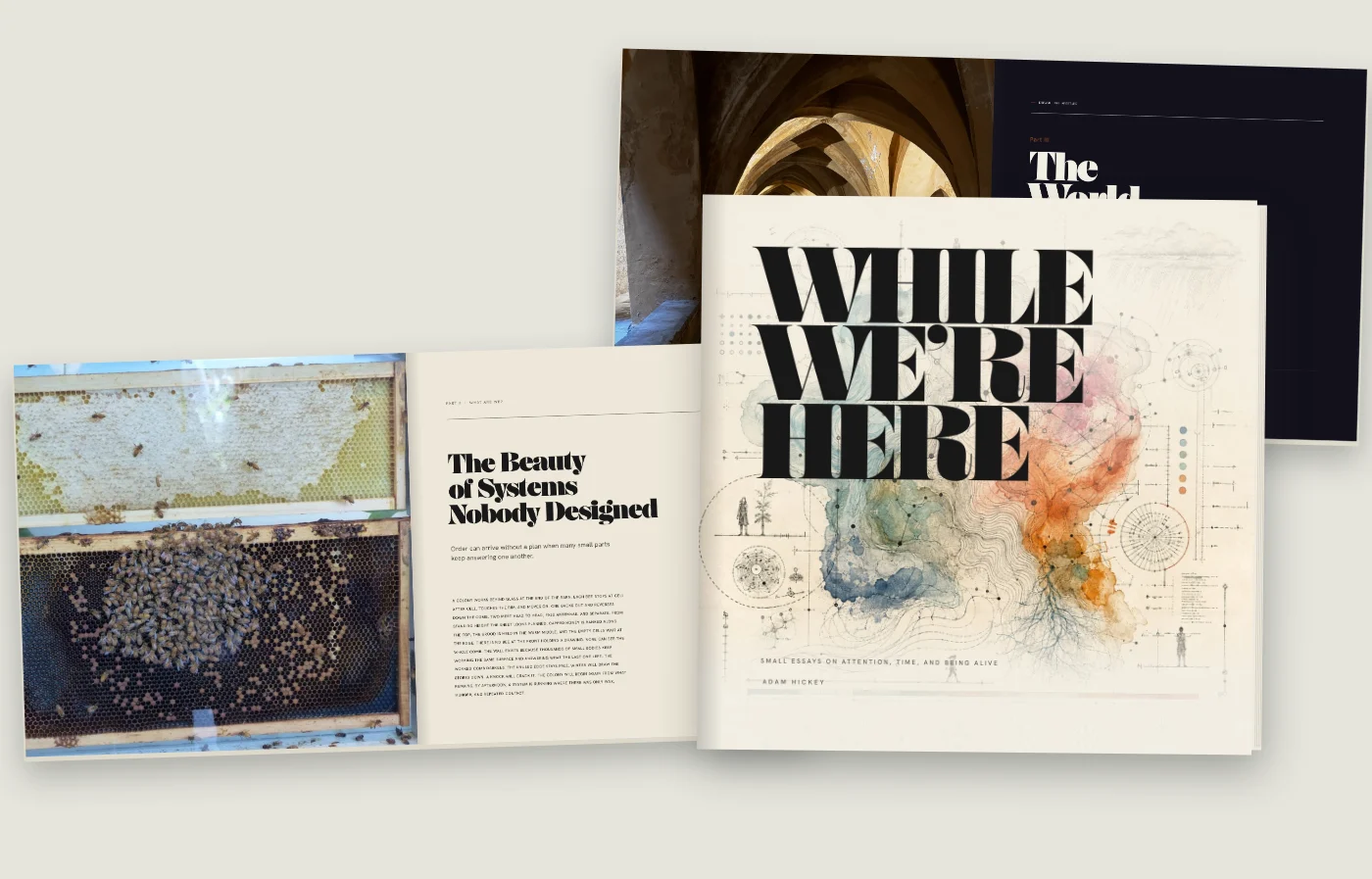 While We&rsquo;re Here as a square hardcover, the title set in tall black Didone capitals over a watercolor bloom crossed by fine technical drafting, with two open spreads behind it.