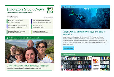 Newsletters showcase