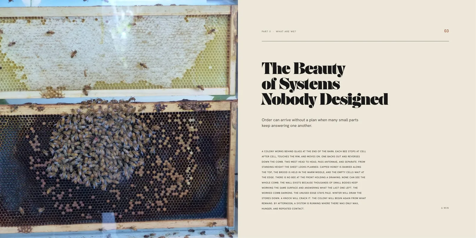 An open spread: a close photograph of honeybees working a comb behind glass, facing a title page reading The Beauty of Systems Nobody Designed.