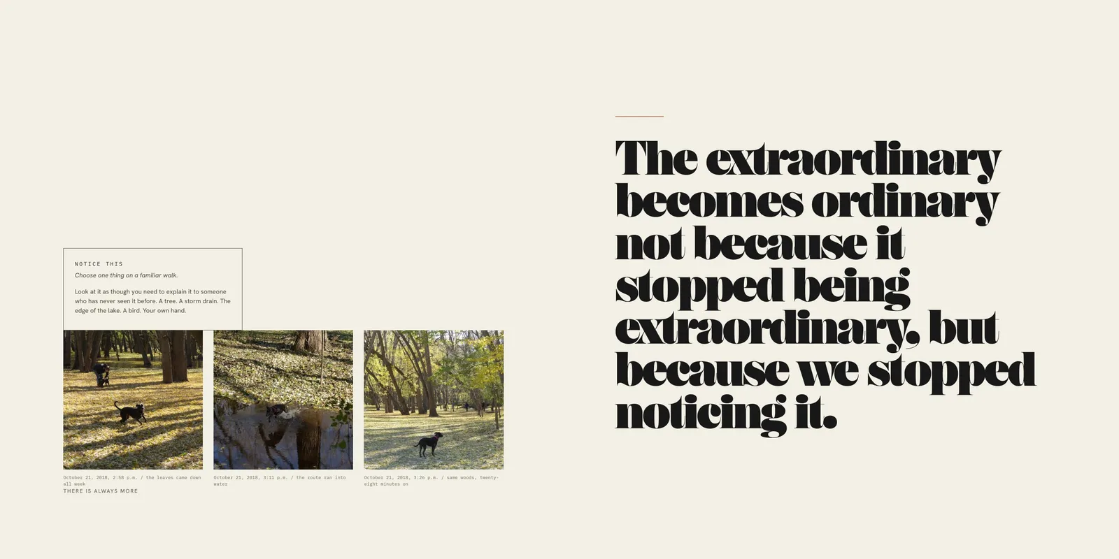 An open spread with a sentence set at poster scale in heavy Didone type: the extraordinary becomes ordinary not because it stopped being extraordinary, but because we stopped noticing it.