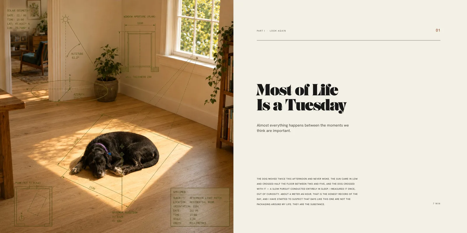 An open spread: a dog asleep in a rectangle of afternoon light on a bare floor, overprinted with faint survey linework, facing a cream title page reading Most of Life Is a Tuesday.